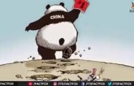 India vs China technology