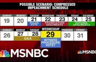 Mitch-McConnell-Lays-Out-Rules-Schedule-For-Trumps-Impeachment-Hardball-MSNBC