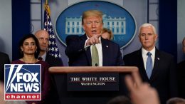 Trump-White-House-Coronavirus-Task-Force-hold-press-briefing